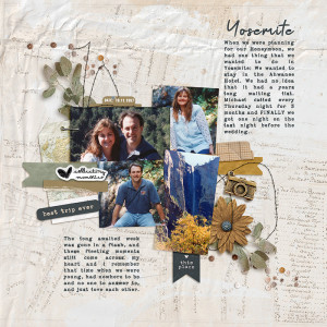Fleeting Honeymoon Moments