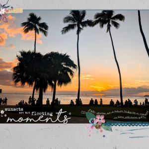 Fleeting-moments