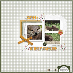 Sweet & Otterly Awesome