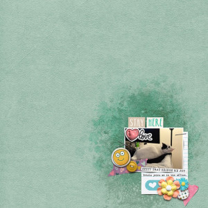 022025SC-WhiteSpace
