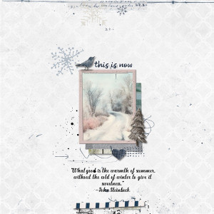 The Cold Of Winter