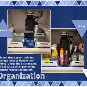 Organization