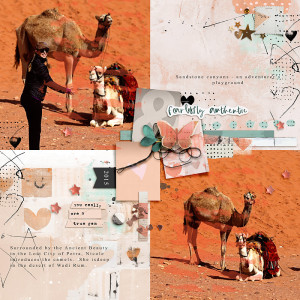 2015-Wadi-Run-Camels