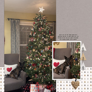 Grizz By Tree