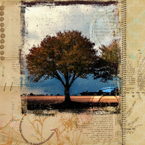 Fall