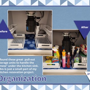 Organization---2
