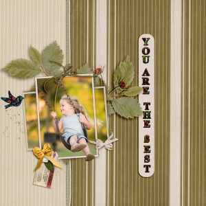Swing