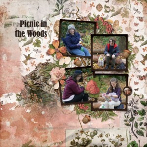 Picnic in the Woods