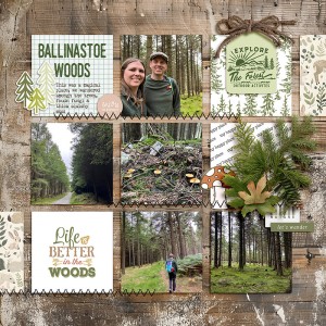 ballinastoe woods