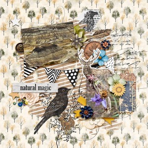 Natural Magic