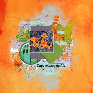 LG_MarchChallengeShapes_janisn