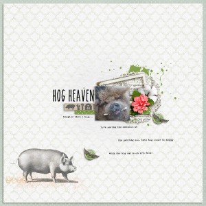 Hog Heaven