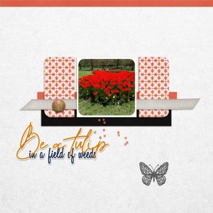 03-Inspiration