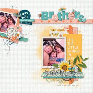 04-04_KCDesigns_LittleThingsBundle_Opening_Simplepleasures
