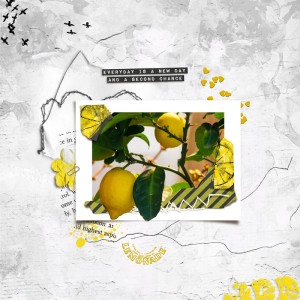 Lemon