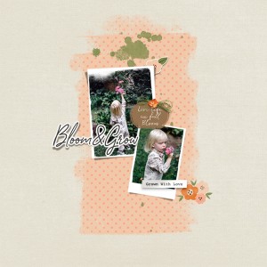 bloom & grow