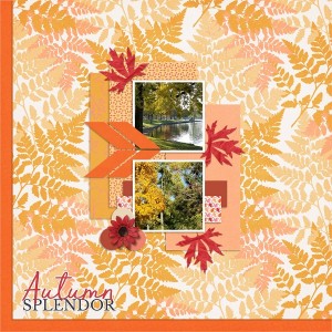 Autumn Splendor