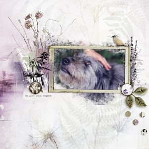 The love of the Dog