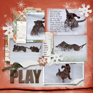 Pup-Play