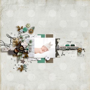 SOSN_mar19_RJ_SG_Small Beginnings