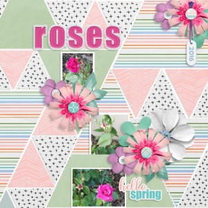 Roses