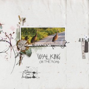 Walking on the Road