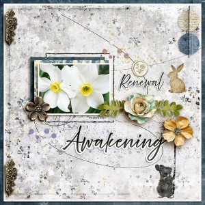 Renewal