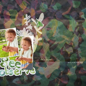 Observe