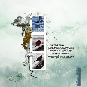 Birdwatching