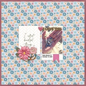 I-collect-beautiful-things