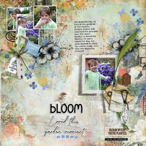 2011-Mother's-Day-Flowers-and-Cotton-Candy