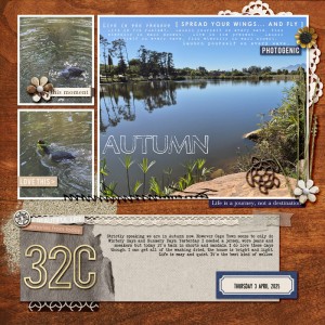 Autumn Inspiration
