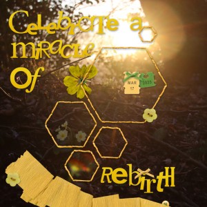 250317_rebirth