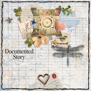 Documented Story