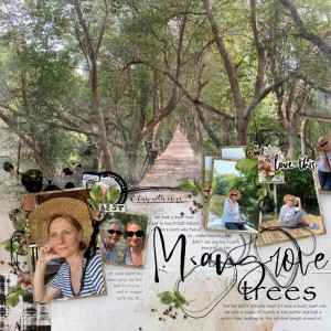 Mangrove trees