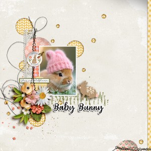FF_apr11_KCD_SG_Baby Bunny