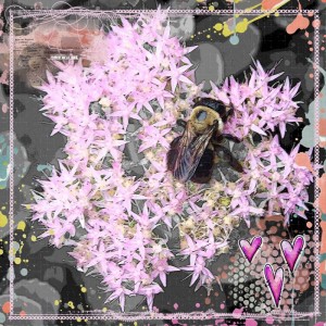 Bumble-Bee-Love