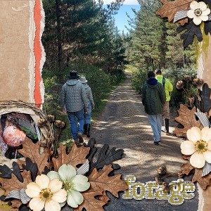 Forage