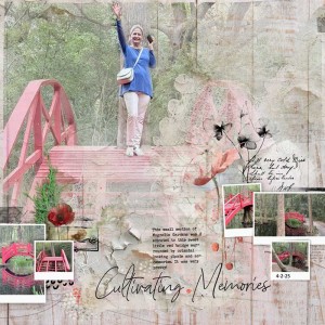 Cultivating-Memories