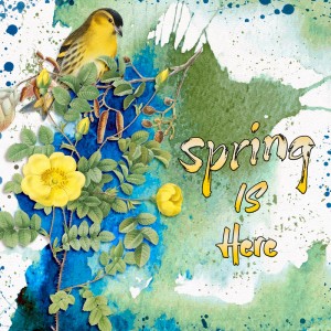 Spring is here