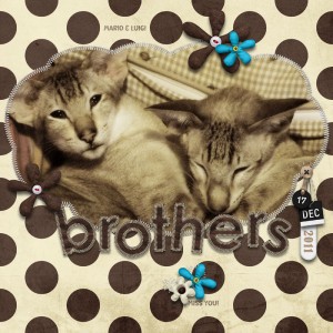 Brothers