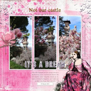 250329_castle
