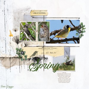 Spring