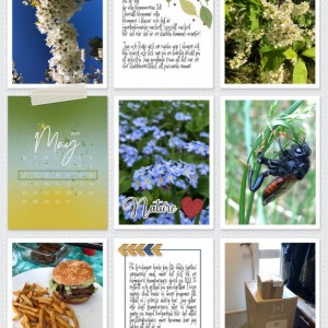 Week 19a 2024