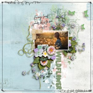 SS_may3_LM_NBK_Wildflower