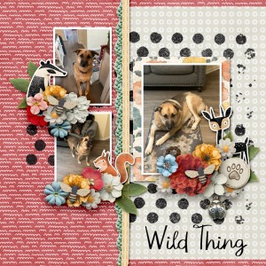 Wild-Thing