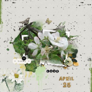 April 25 ^in the garden