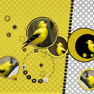 Sing