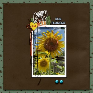 RE_HomeGardening-