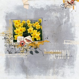 Sunny-springtime